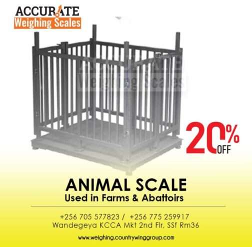 500kg electronic animal floor cattle weighing scale for sale