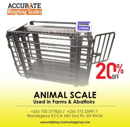 Veterinary scale made of stainless steel Platform design
