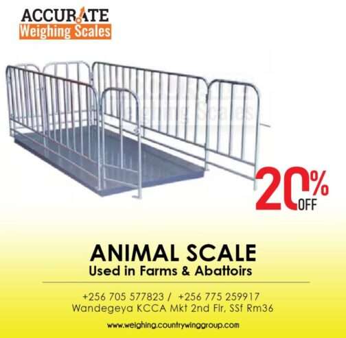 Digital Animal Floor Weighing Scales Pig Sheep Cattle Horse