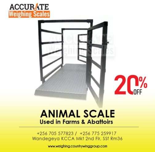 Livestock weighing scales in the agricultural industry