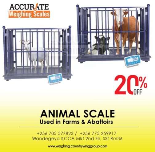 electronic animal floor cattle weighing scale indicator