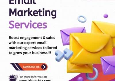 Bizvertex-Email-Marketing-Services-1