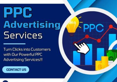 Bizvertex-PPC-Advertising-Services