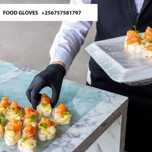 Disposable Food Service Gloves in Kampala Uganda