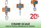 Weight 300kg Mini Crane weighing Scale digital