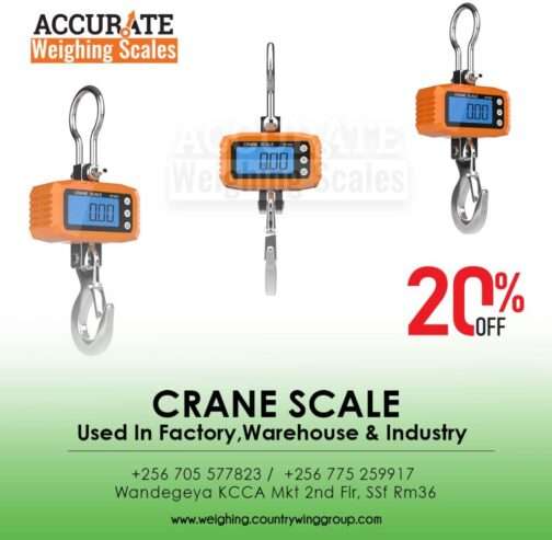 Weight 300kg Mini Crane weighing Scale digital