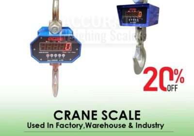 CRANE-SCALE-27-2