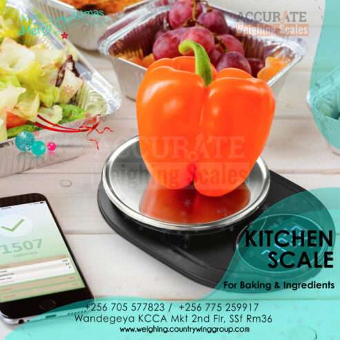 Baking Weighs In Grams Kitchen Digital Food Scale
