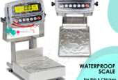 durable and water-resistant wash down weighing scale