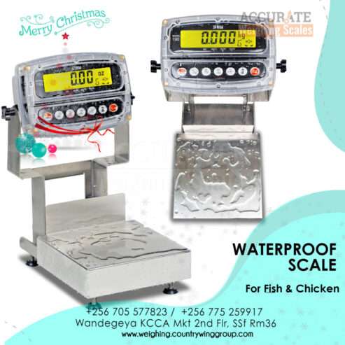 durable and water-resistant wash down weighing scale