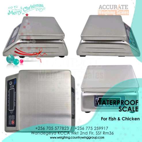 durable and water-resistant wash down weighing scale