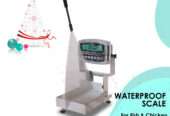 digital Waterproof Food Service Scale – Accurate suppliers